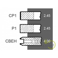 SEGMENTI MOTOR