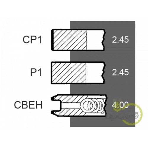 SEGMENTI MOTOR
