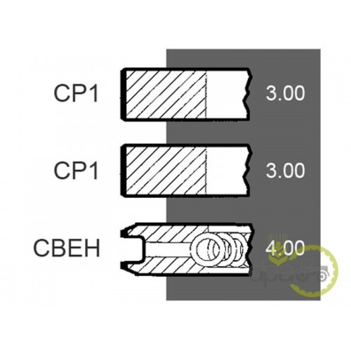 SEGMENTI MOTOR