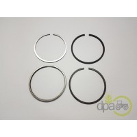 SEGMENTI MOTOR