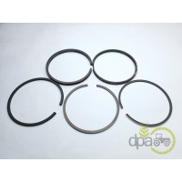 SEGMENTI MOTOR