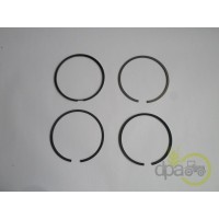 SEGMENTI MOTOR