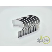SET CUZINETI BIELA R1