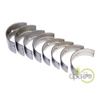 SET CUZINETI PALIER STD