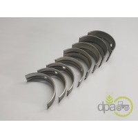 SET CUZINETI PALIER STD