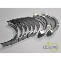 SET CUZINETI PALIER STD