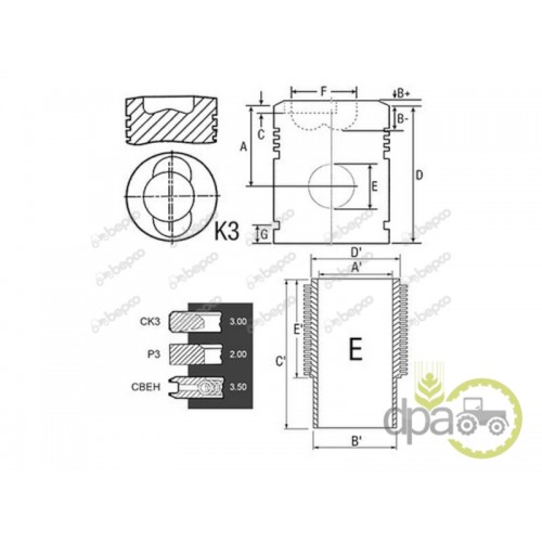 SET MOTOR