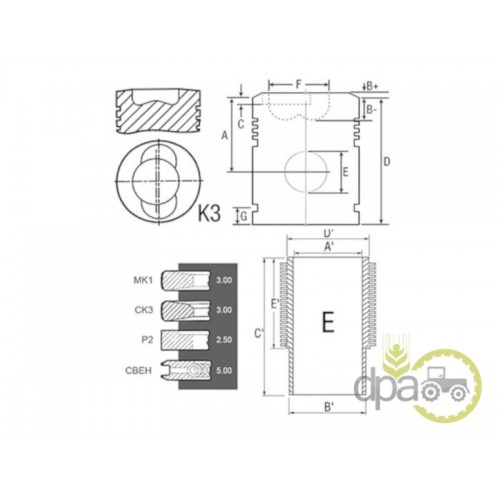 SET MOTOR
