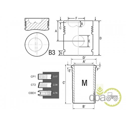 SET MOTOR