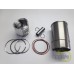 SET MOTOR