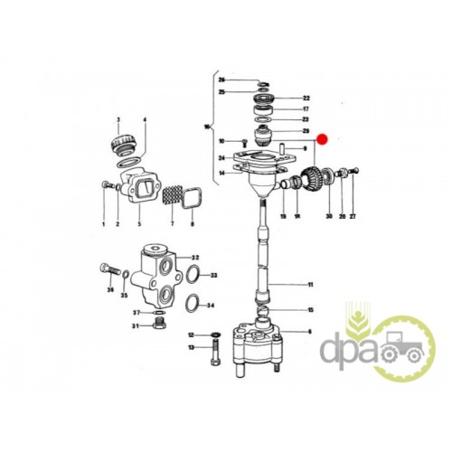 SET PINIOANE POMPA ULEI MOTOR