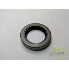 SIMERING FATA ARBORE MOTOR