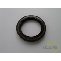SIMERING FATA ARBORE MOTOR