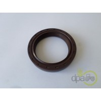 SIMERING FATA ARBORE MOTOR
