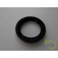 SIMERING FATA ARBORE MOTOR