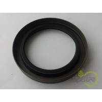 SIMERING FATA ARBORE MOTOR