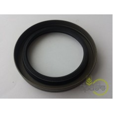 SIMERING FATA ARBORE MOTOR
