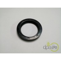 SIMERING FATA ARBORE MOTOR