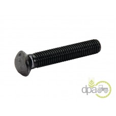 SURUB+PIULITA PLUG M12X70